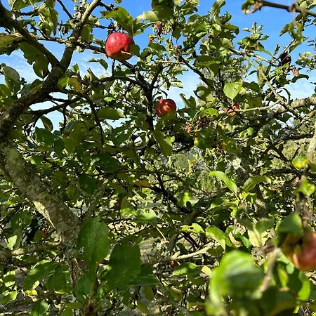 Kastellbriant Vakantiehuis