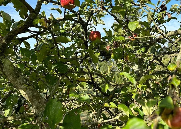 Kastellbriant Nyaraló